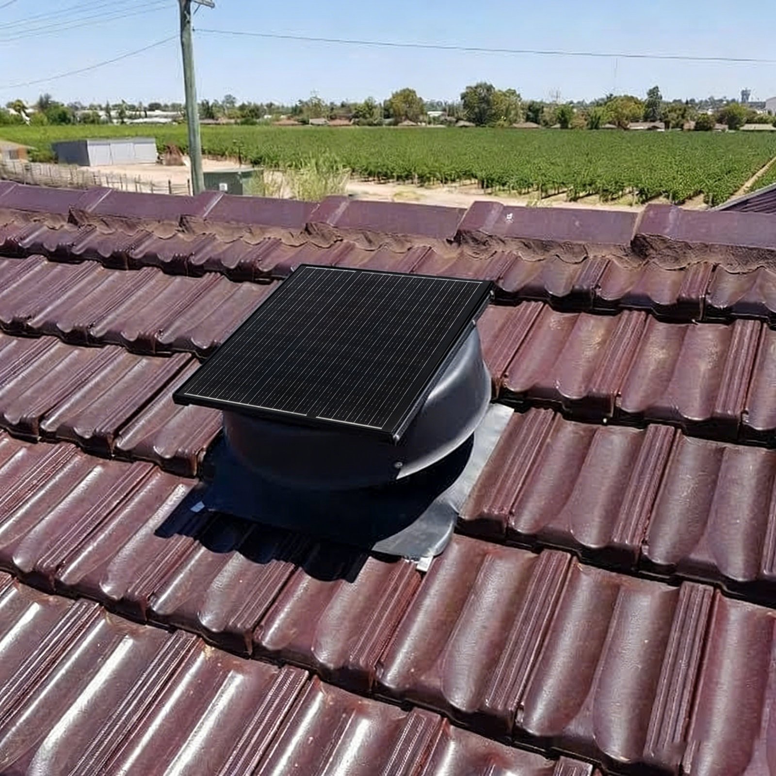 Tile Roof