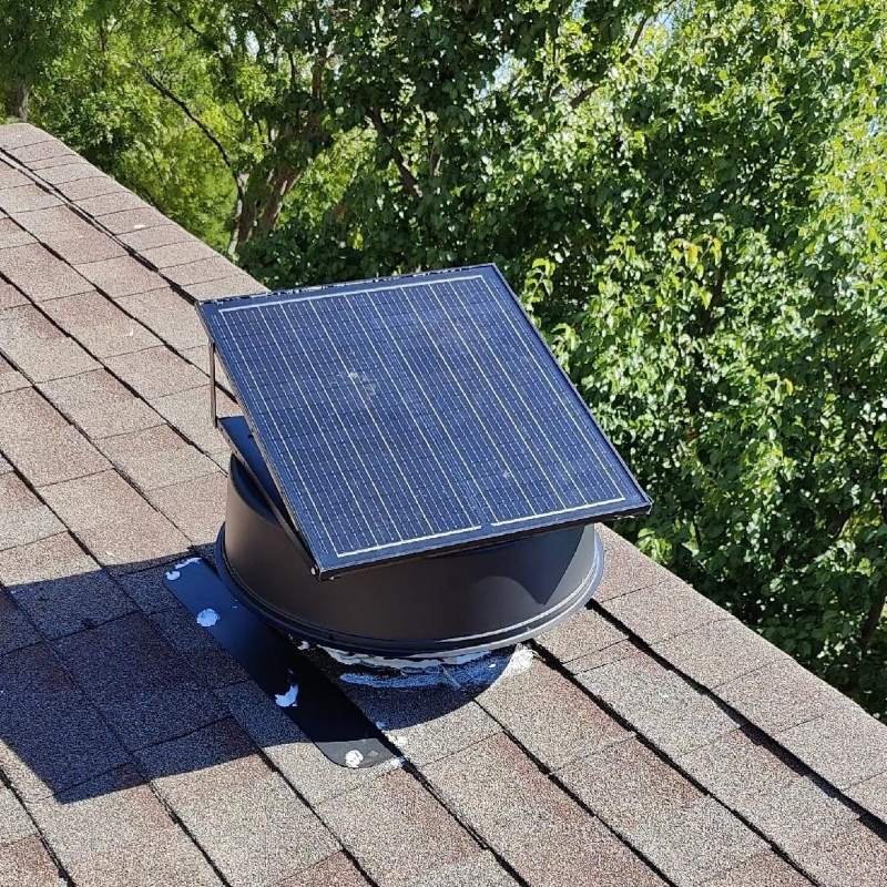 Shingle Roof